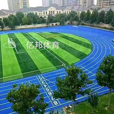 杭州全塑型塑胶跑道材料厂家
